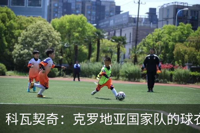 科瓦契奇：克罗地亚国家队的球衣，对我们而言是神圣的